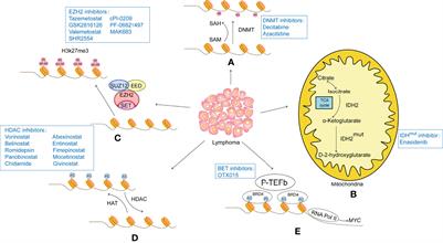 The Status and Prospects of Epigenetics in the Treatment of Lymphoma